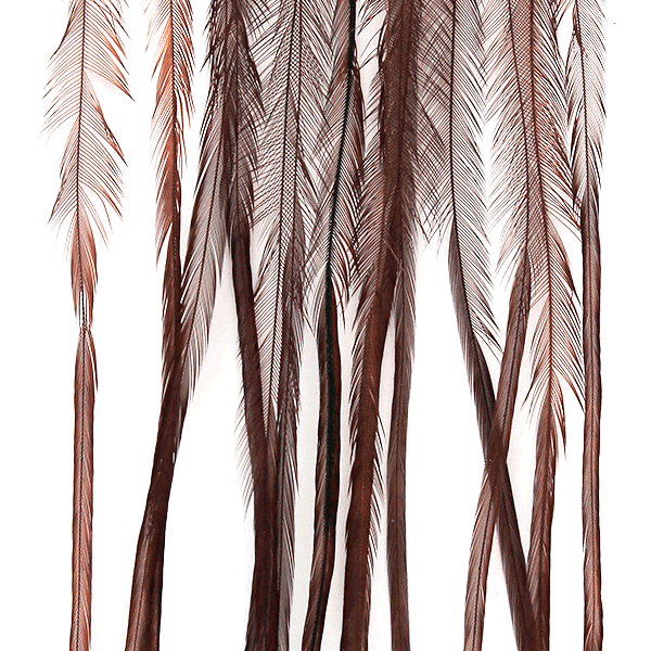 Whiting Farms 100 Pack Dry Fly Hackle