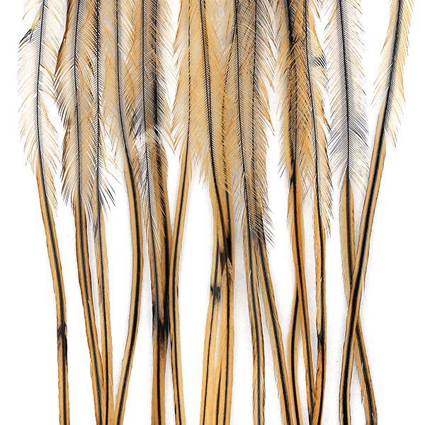 Whiting Farms 100 Pack Dry Fly Hackle
