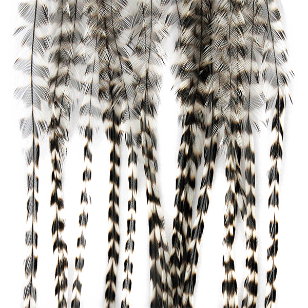Whiting Farms 100 Pack Dry Fly Hackle