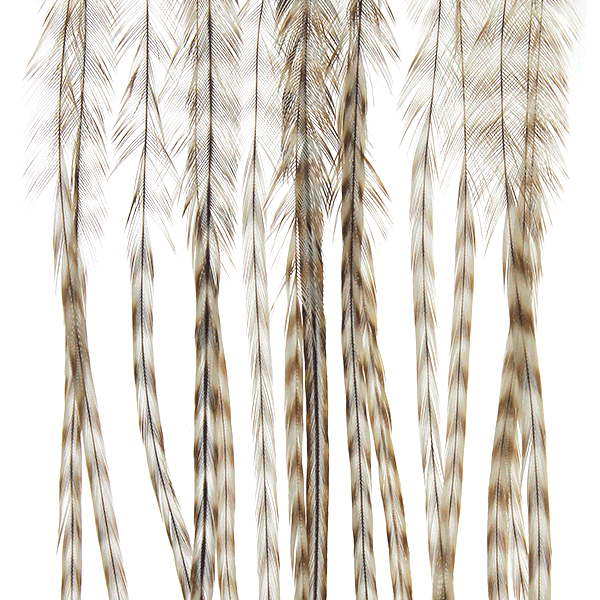 Whiting Farms 100 Pack Dry Fly Hackle