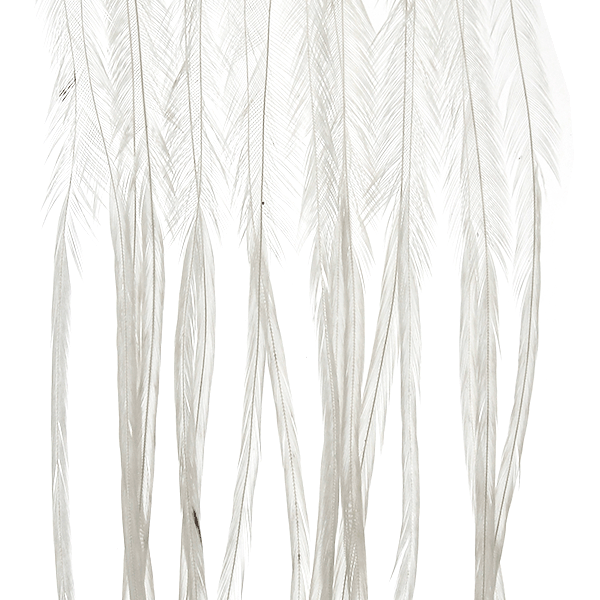 Whiting Farms 100 Pack Dry Fly Hackle
