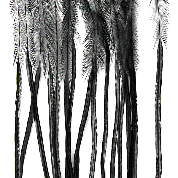 Whiting Farms 100 Pack Dry Fly Hackle