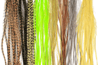 Whiting Farms 100 Pack Dry Fly Hackle