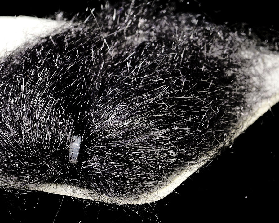 Sybai Ghost Hair