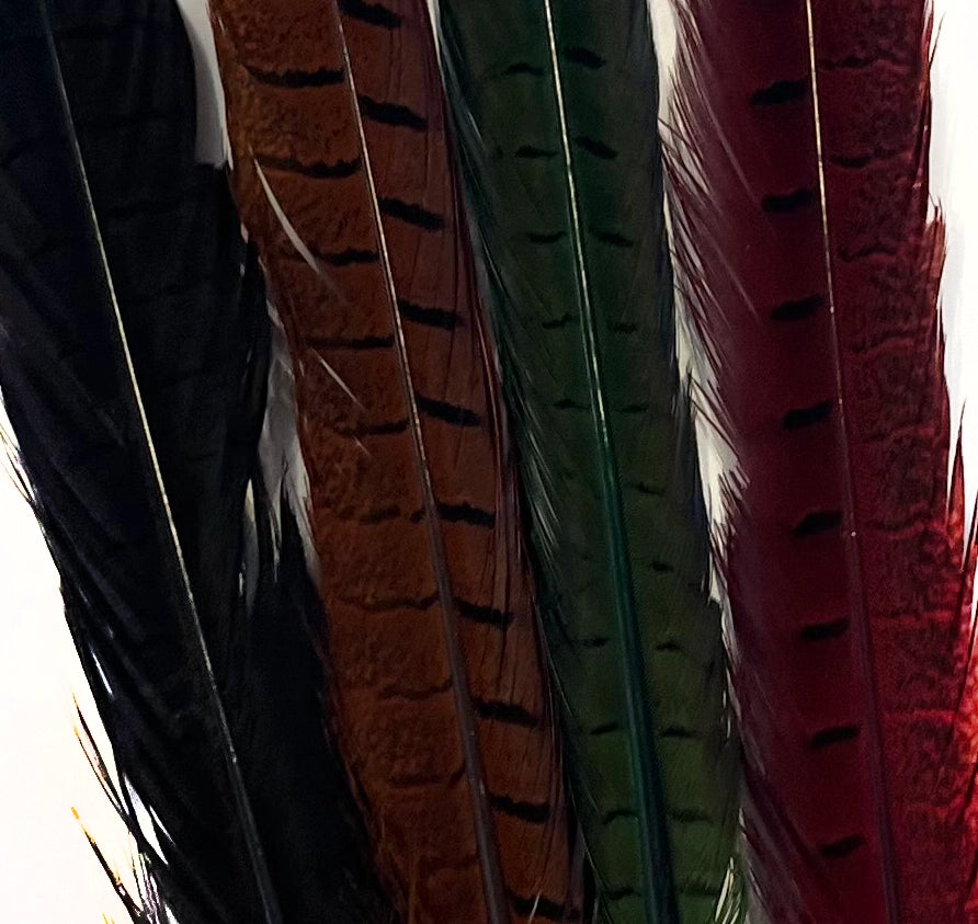 Dyed Ringneck Pheasant Tail