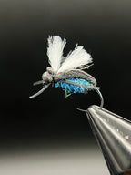 Foam Beetle Bench Bundle