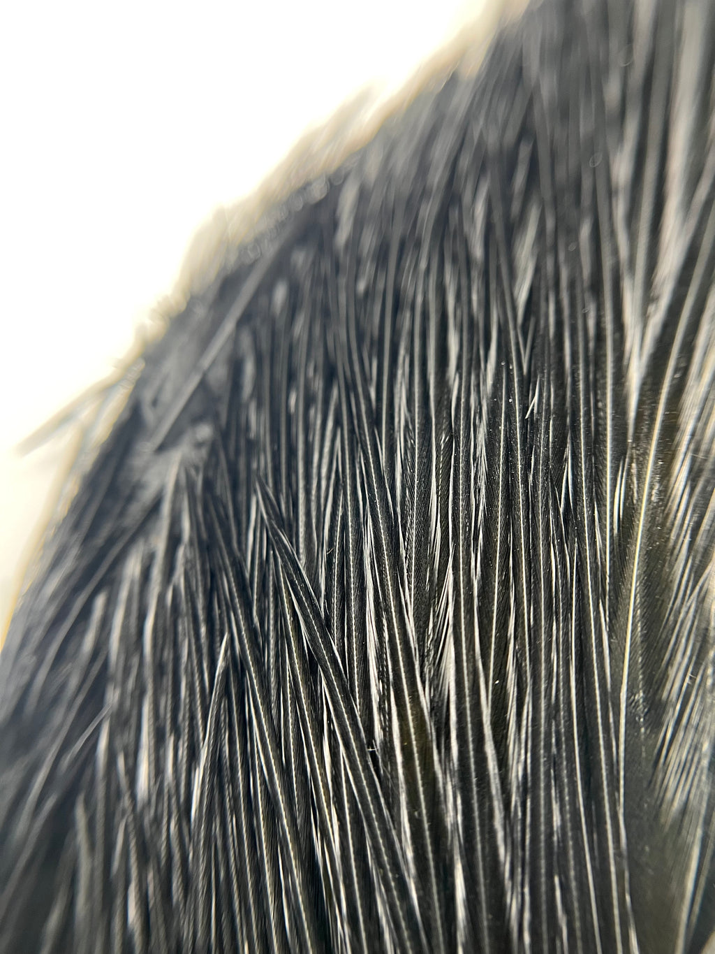 Hareline Half Rooster Cape Hackle