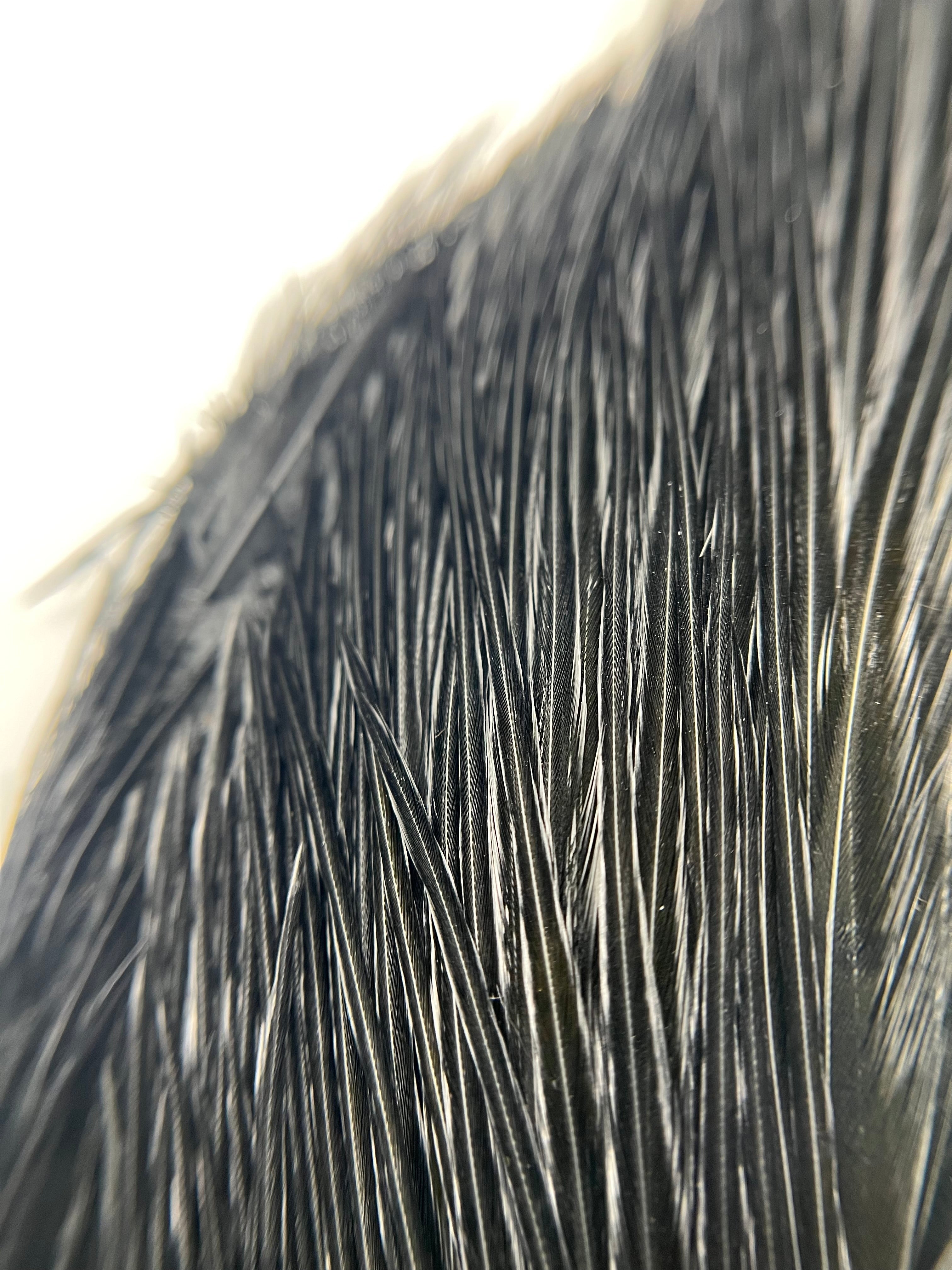 Hareline Half Rooster Cape Hackle