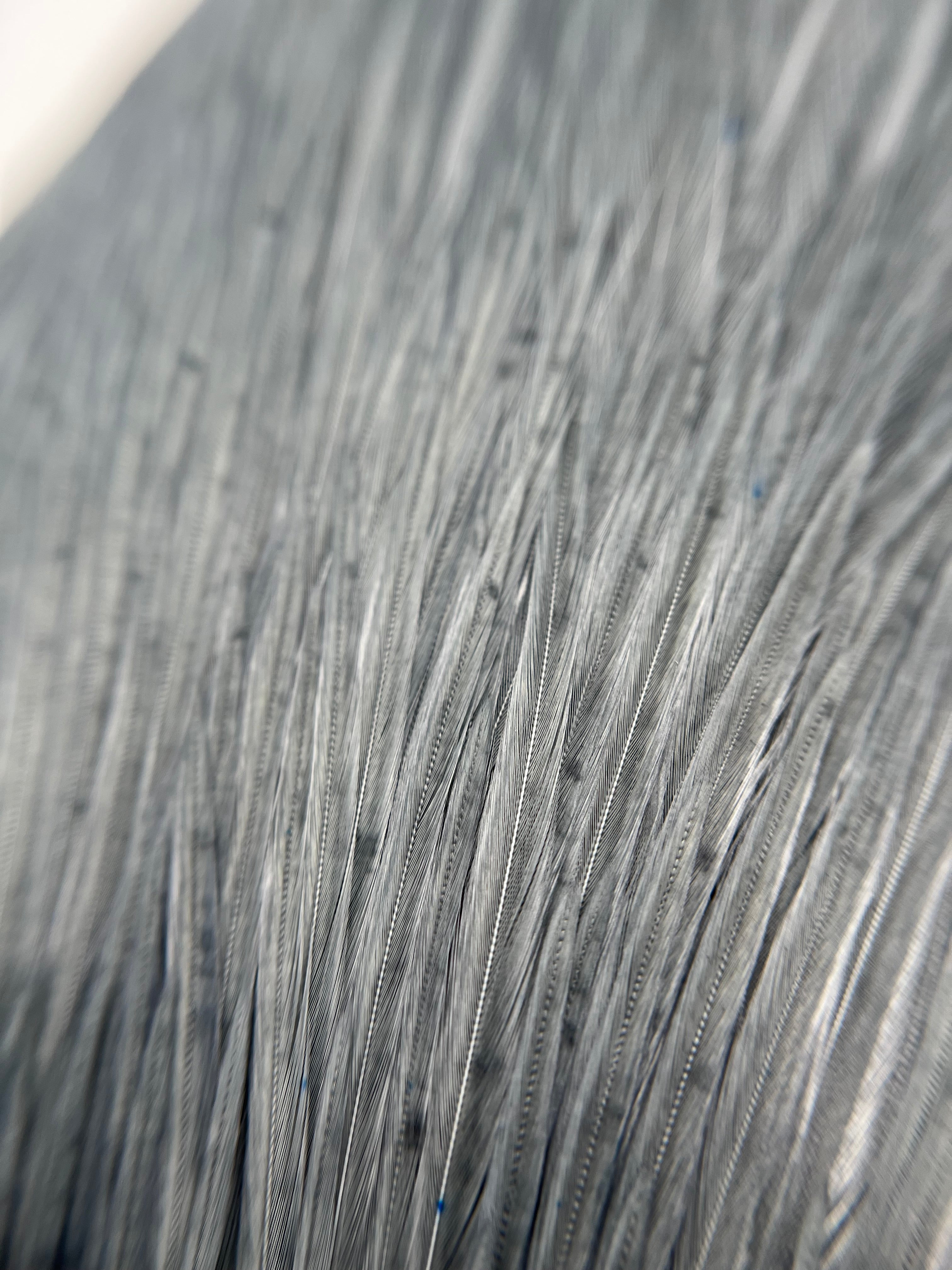 Hareline Half Rooster Cape Hackle