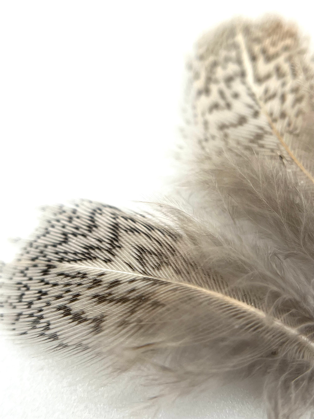 Hareline Premium Hungarian Partridge