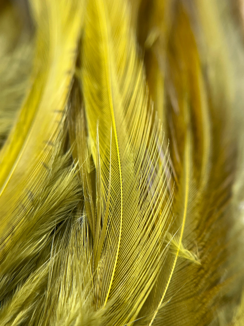 Hareline Strung Saddle Hackle