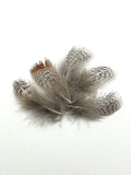 Hareline Premium Hungarian Partridge