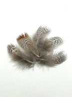 Hareline Premium Hungarian Partridge