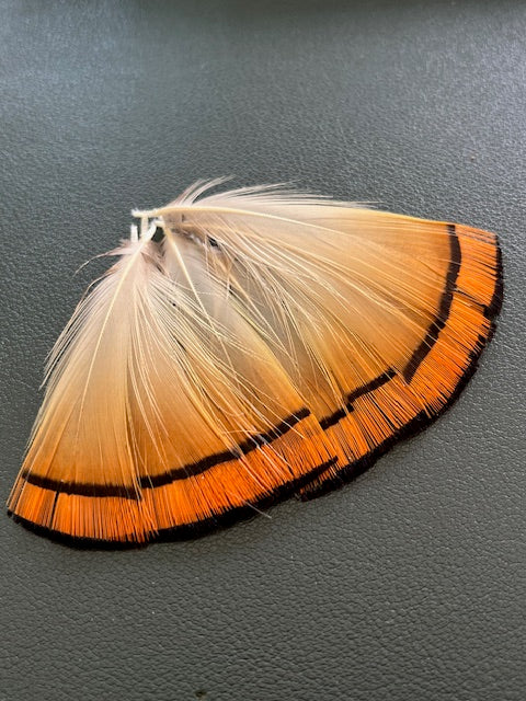Golden Pheasant Tippets