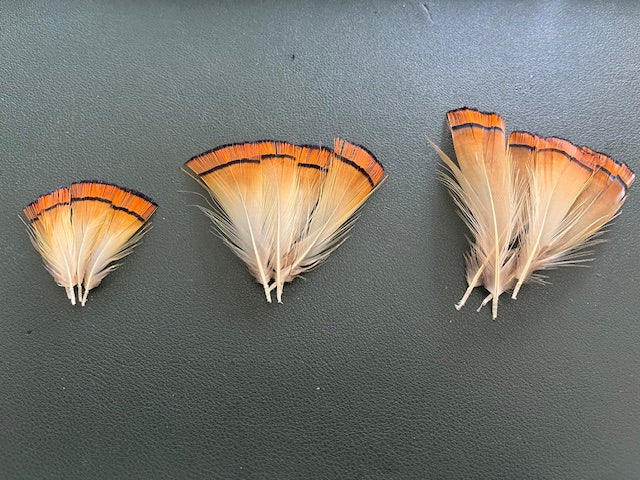 Golden Pheasant Tippets