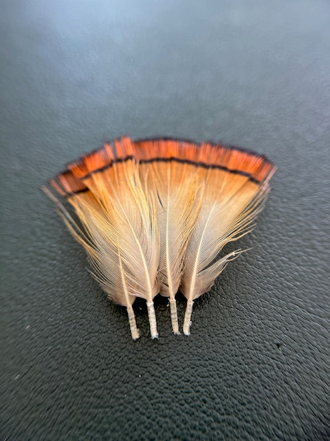 Golden Pheasant Tippets