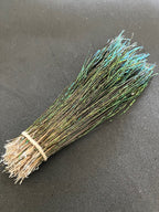 Strung Peacock Herl