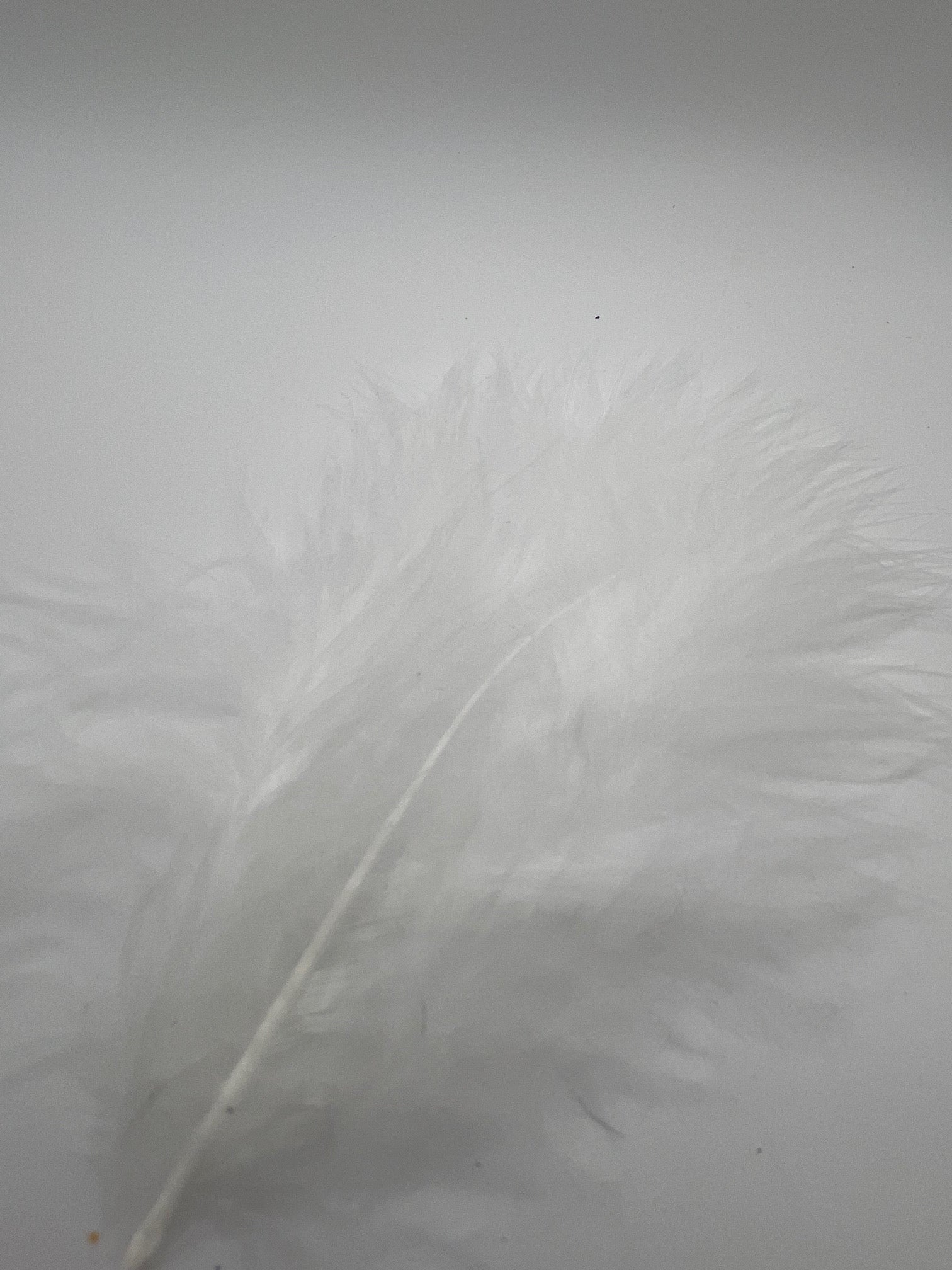 Marabou Feathers