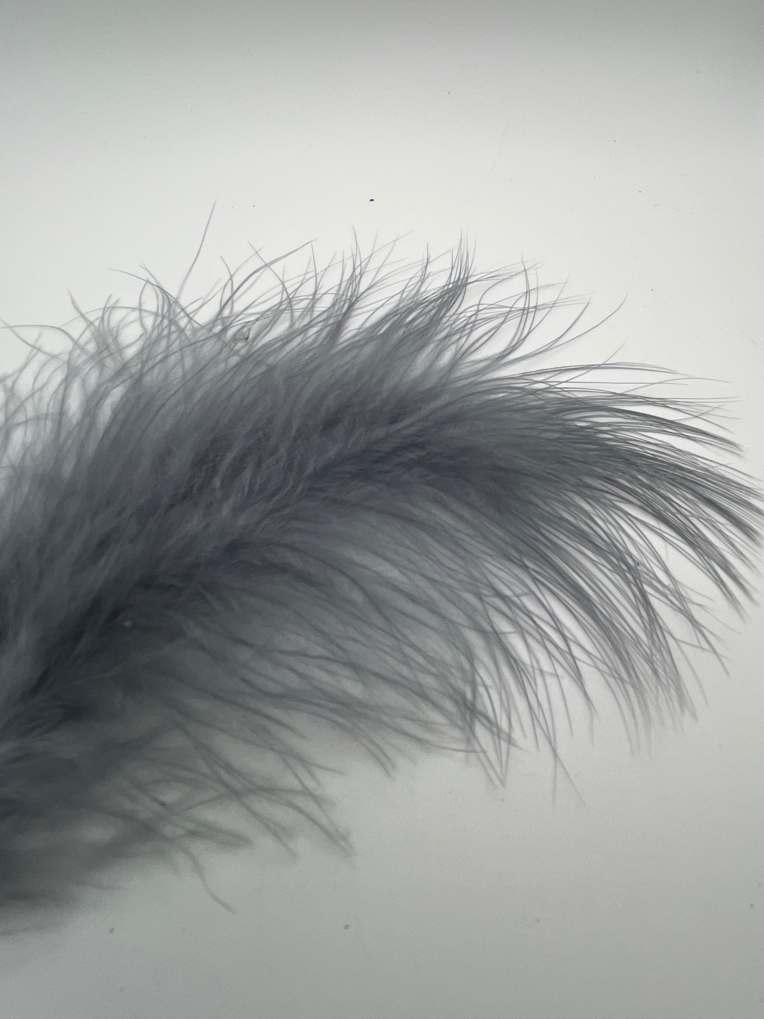 Marabou Feathers