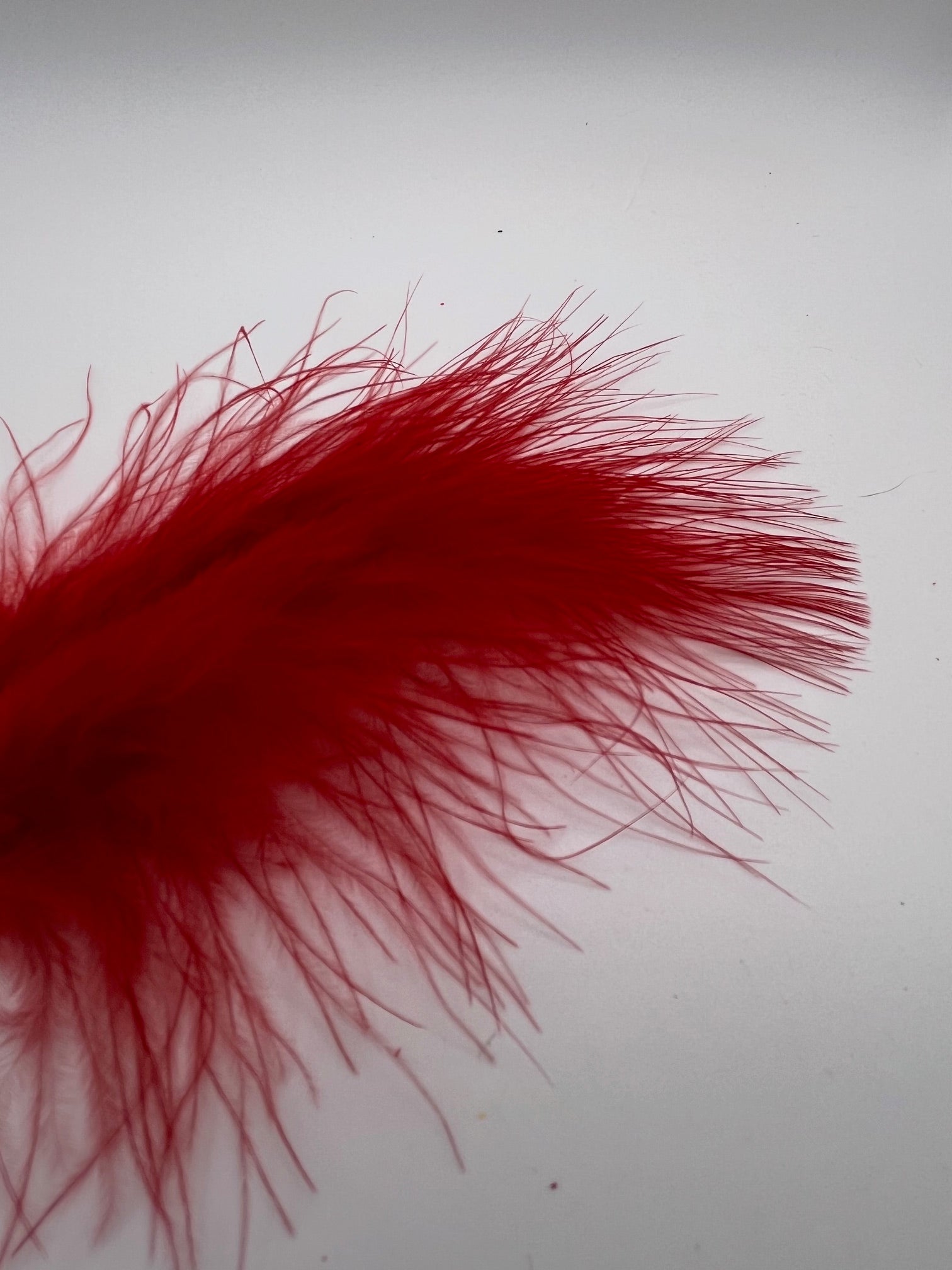 Marabou Feathers