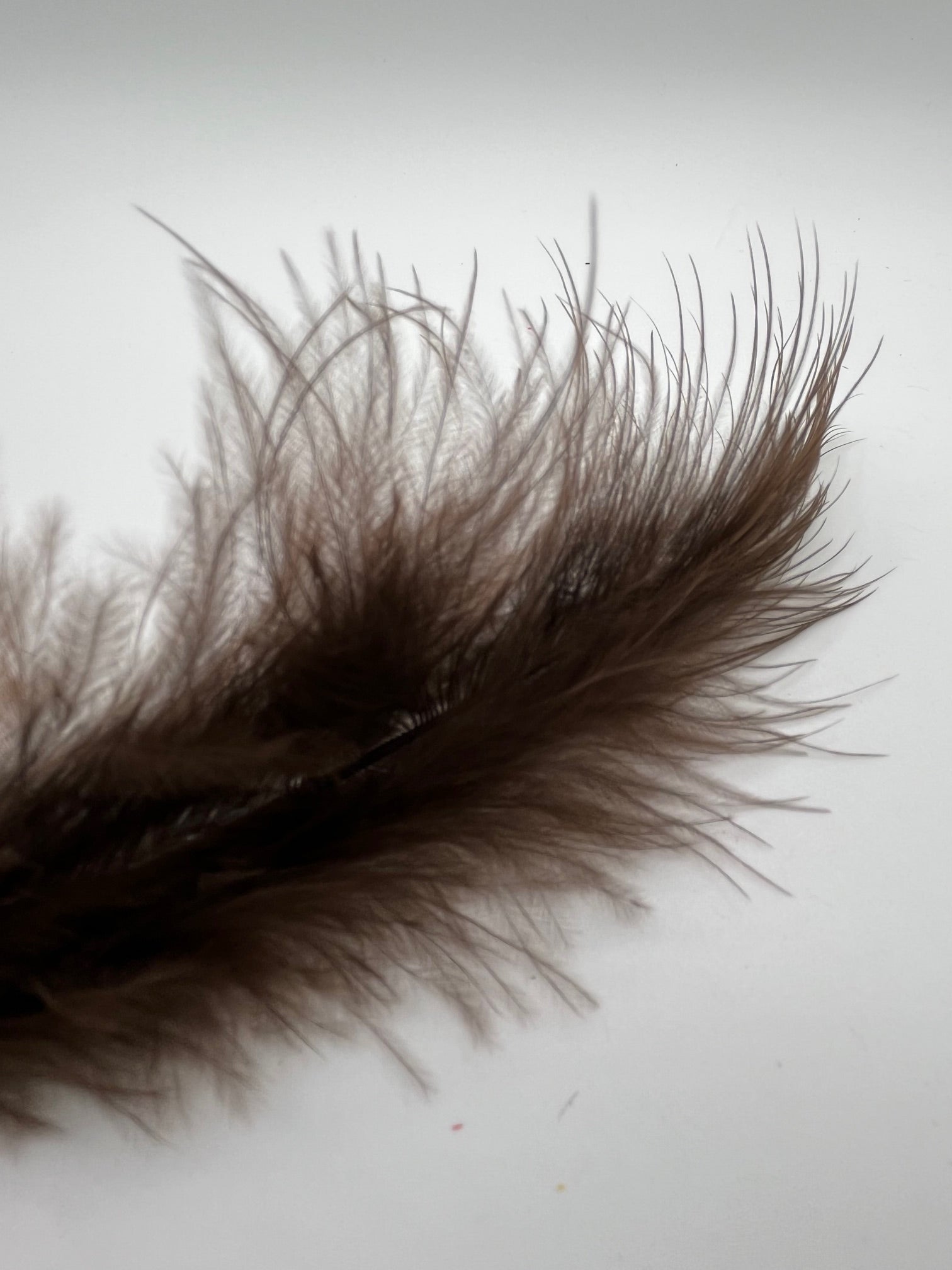 Marabou Feathers
