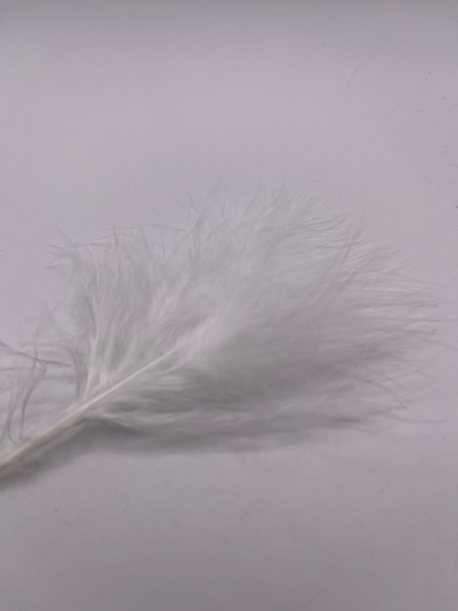 Marabou Blood Quill