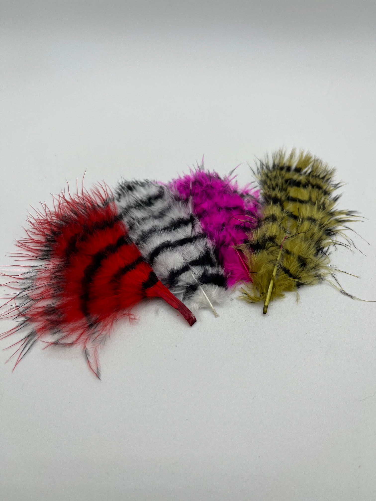 Barred Marabou