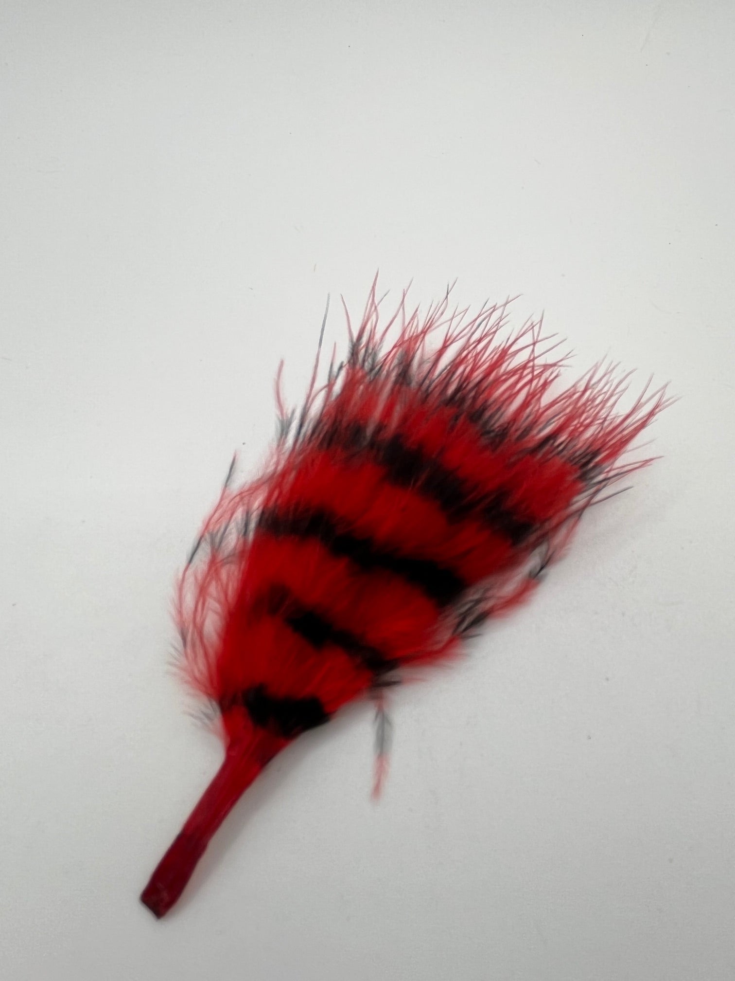 Barred Marabou