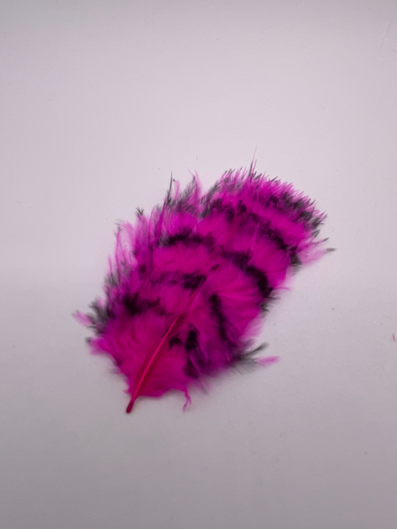 Barred Marabou