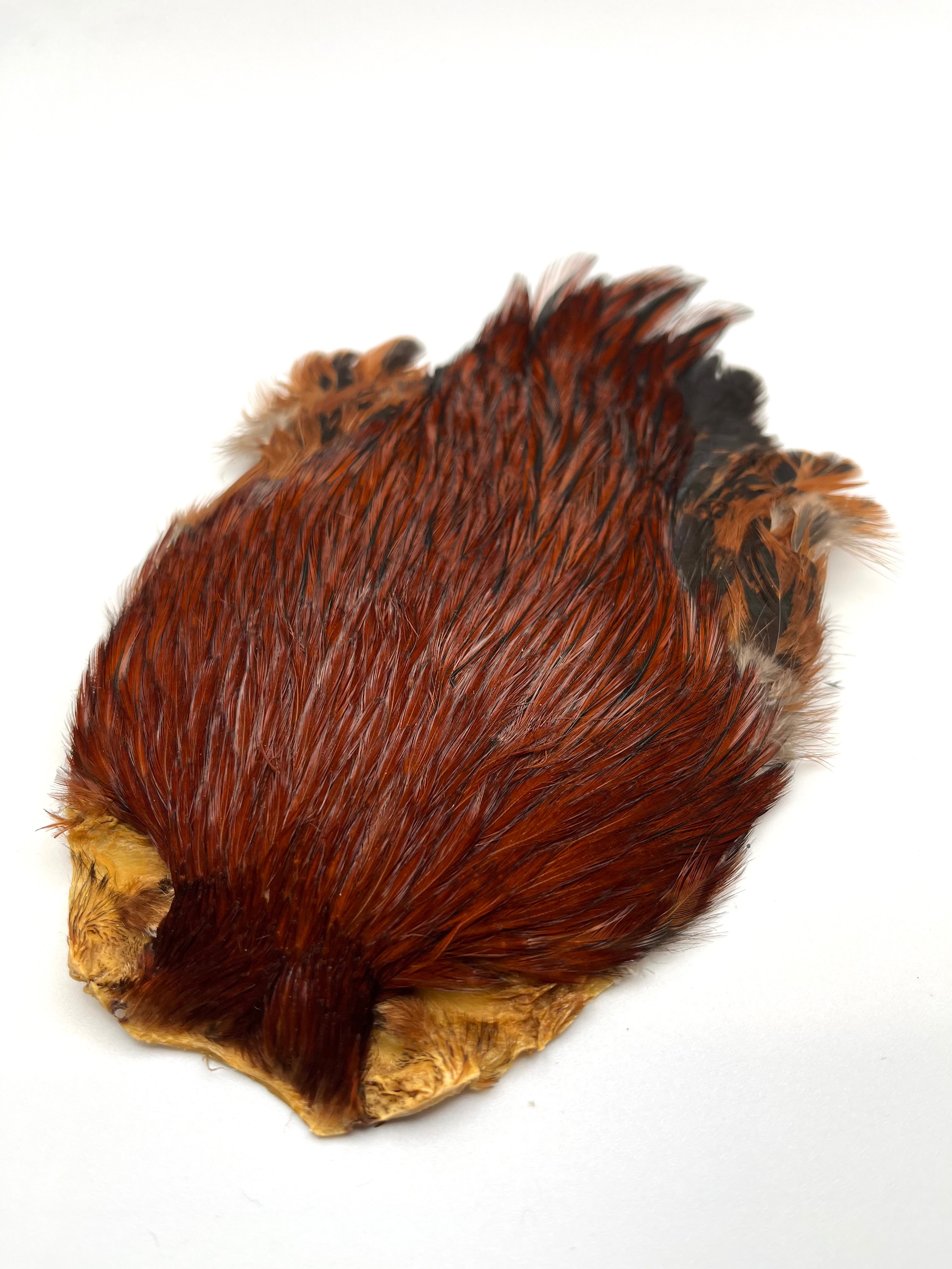 Nature's Spirit Prime India Rooster Cape