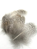 Nature's Spirit Premium Partridge