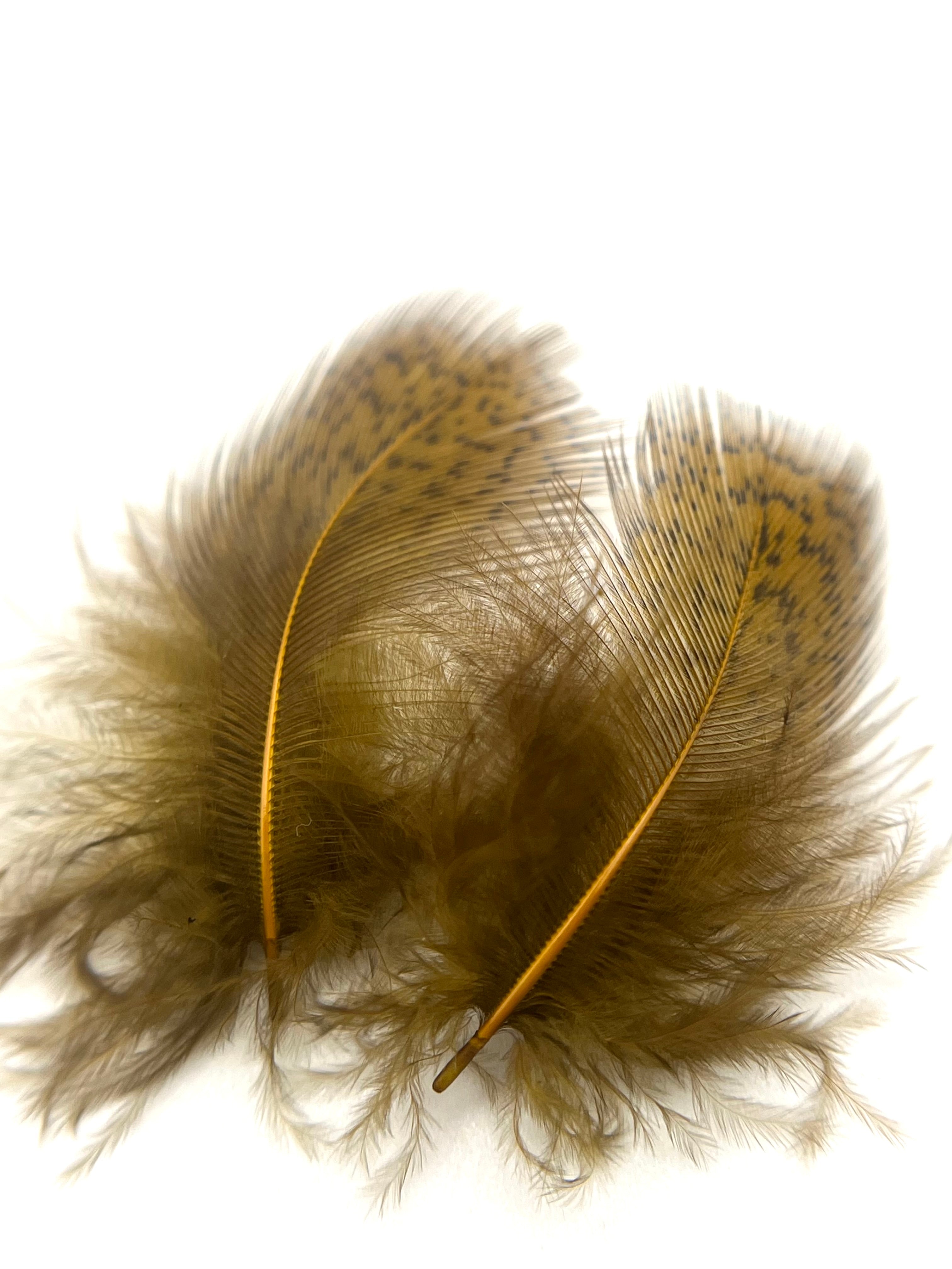 Nature's Spirit Premium Partridge