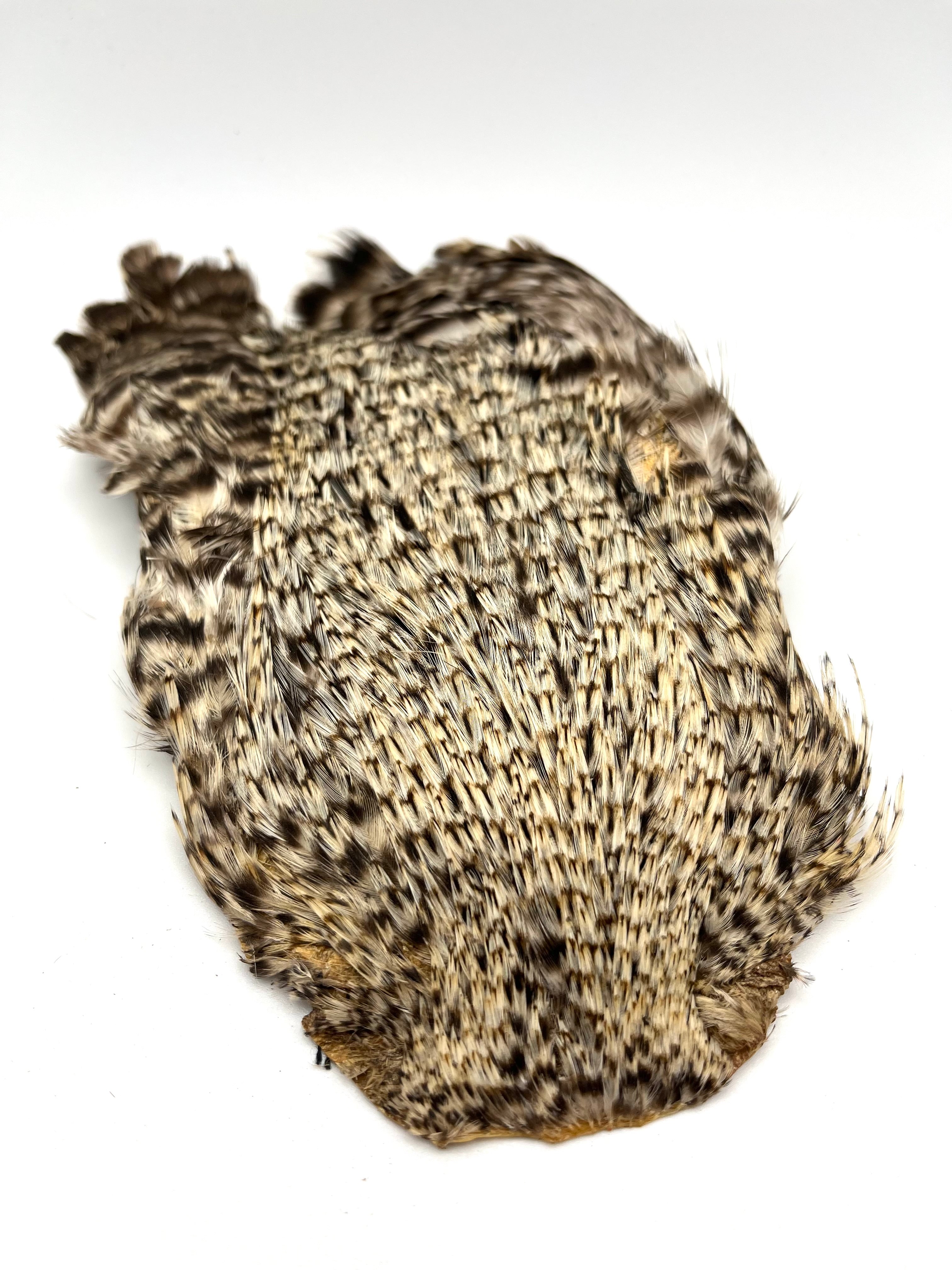 DOHIKU India Rooster Cape