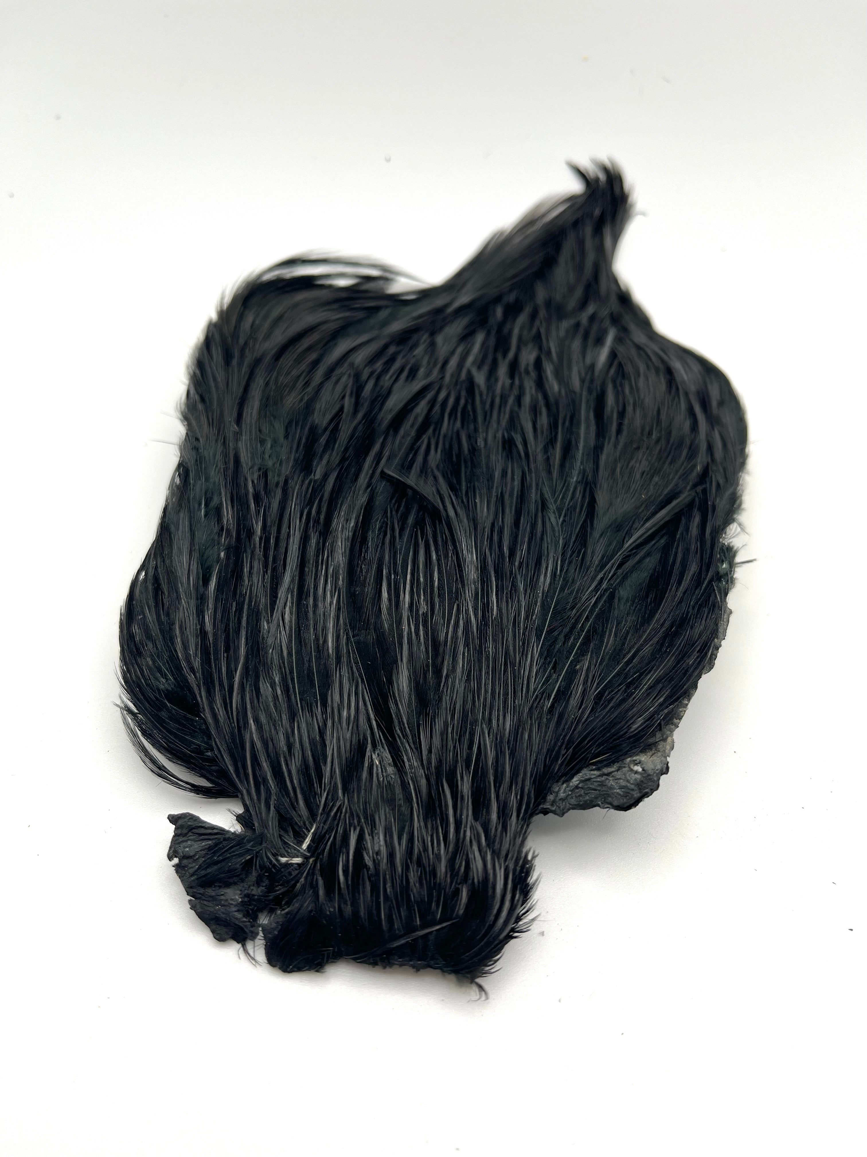 DOHIKU India Rooster Cape