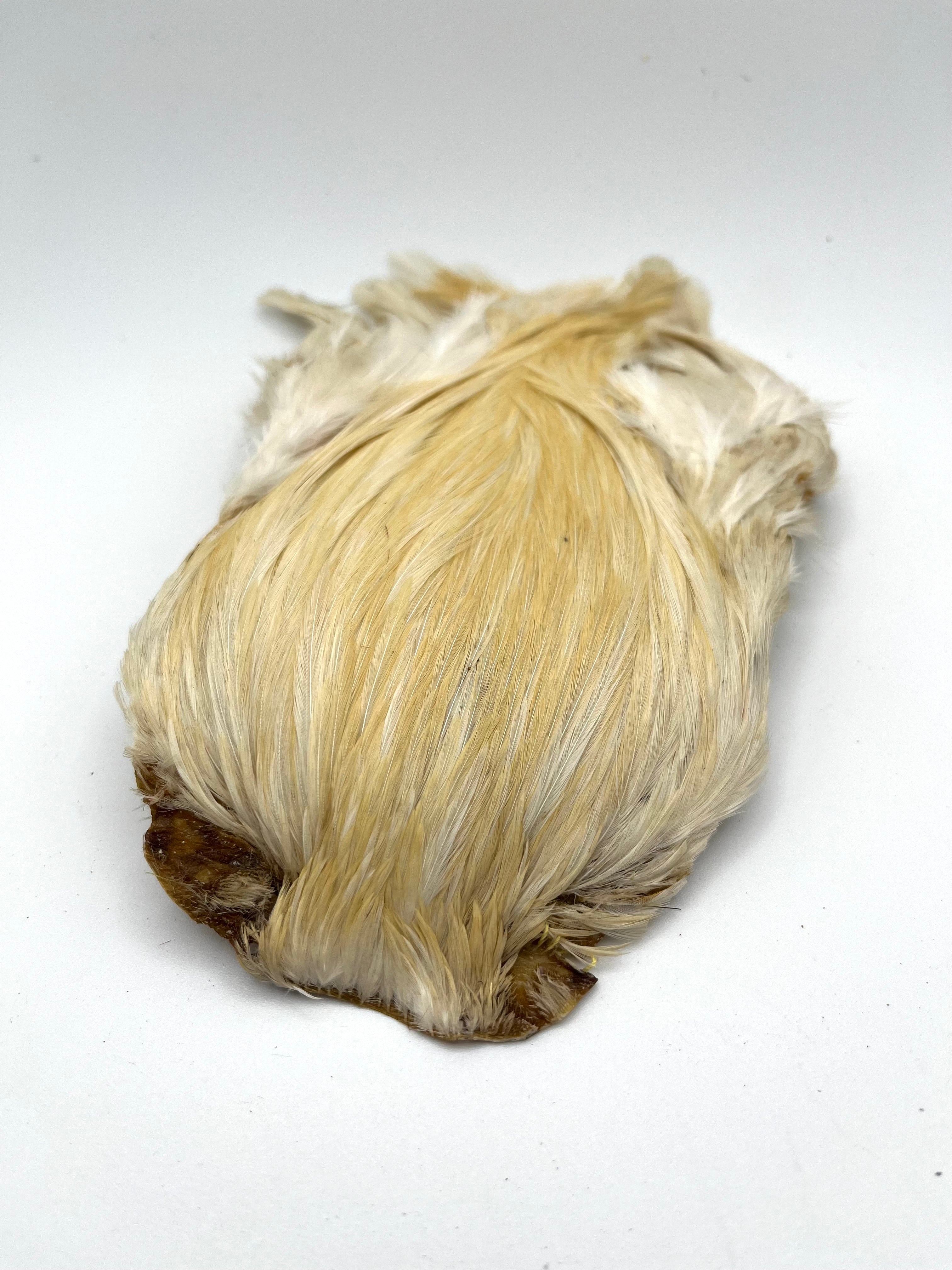 DOHIKU India Rooster Cape