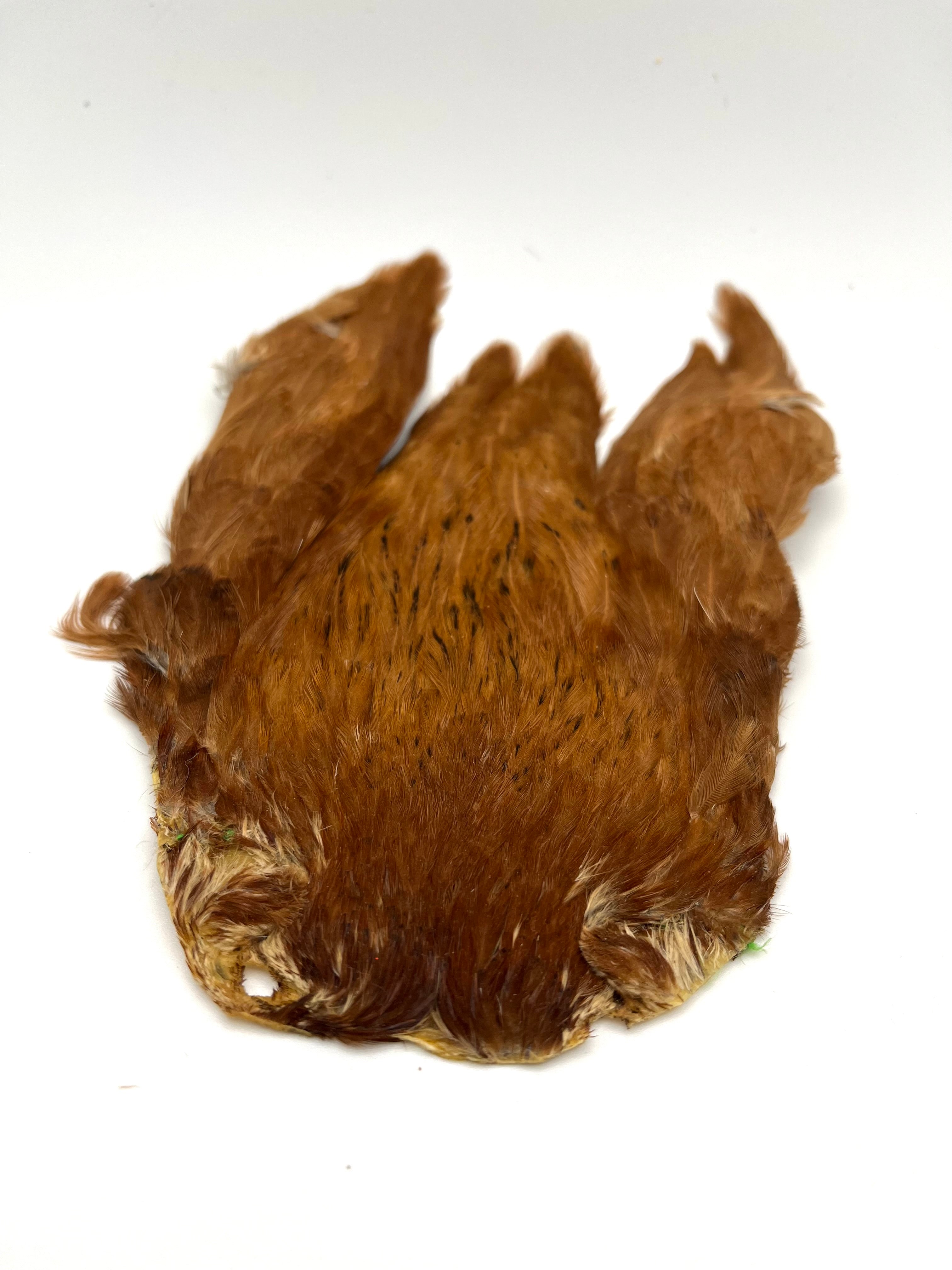 DOHIKU India Hen Cape