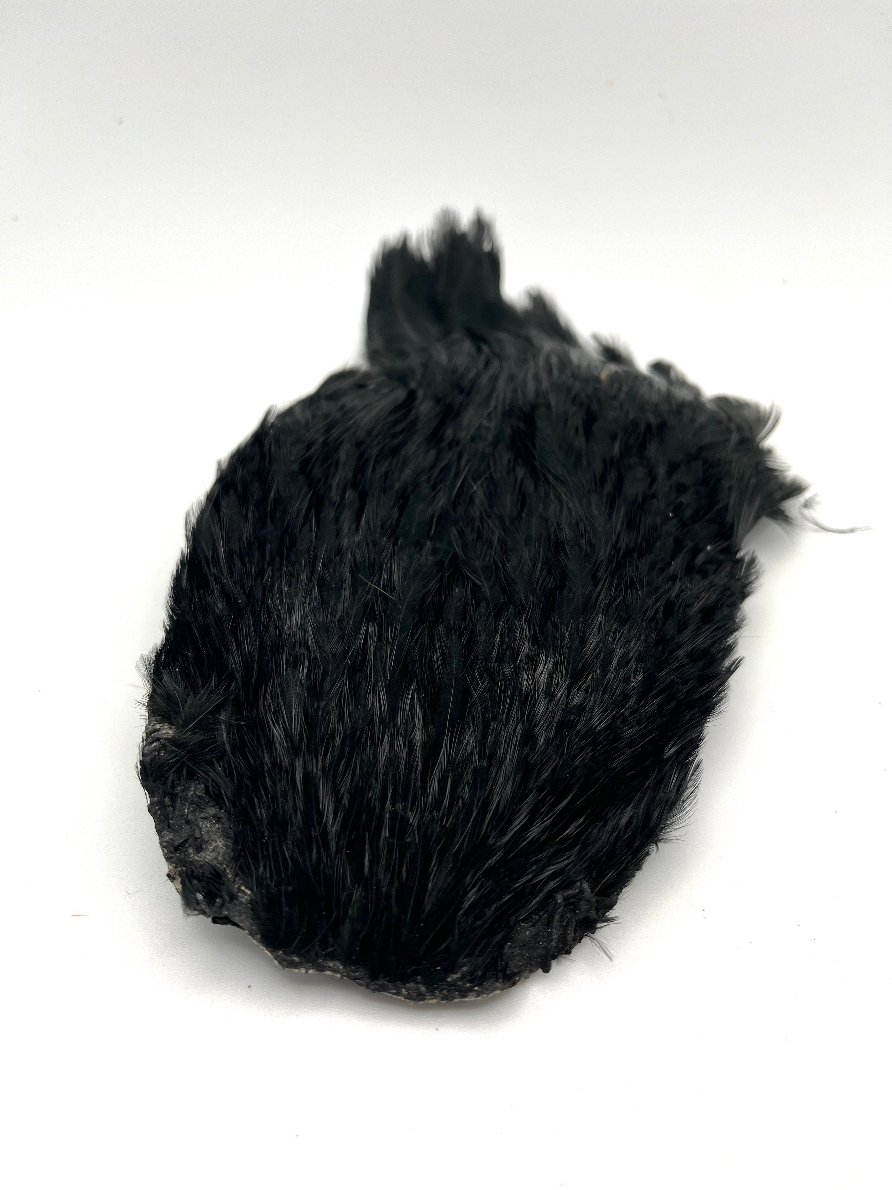 DOHIKU India Hen Cape