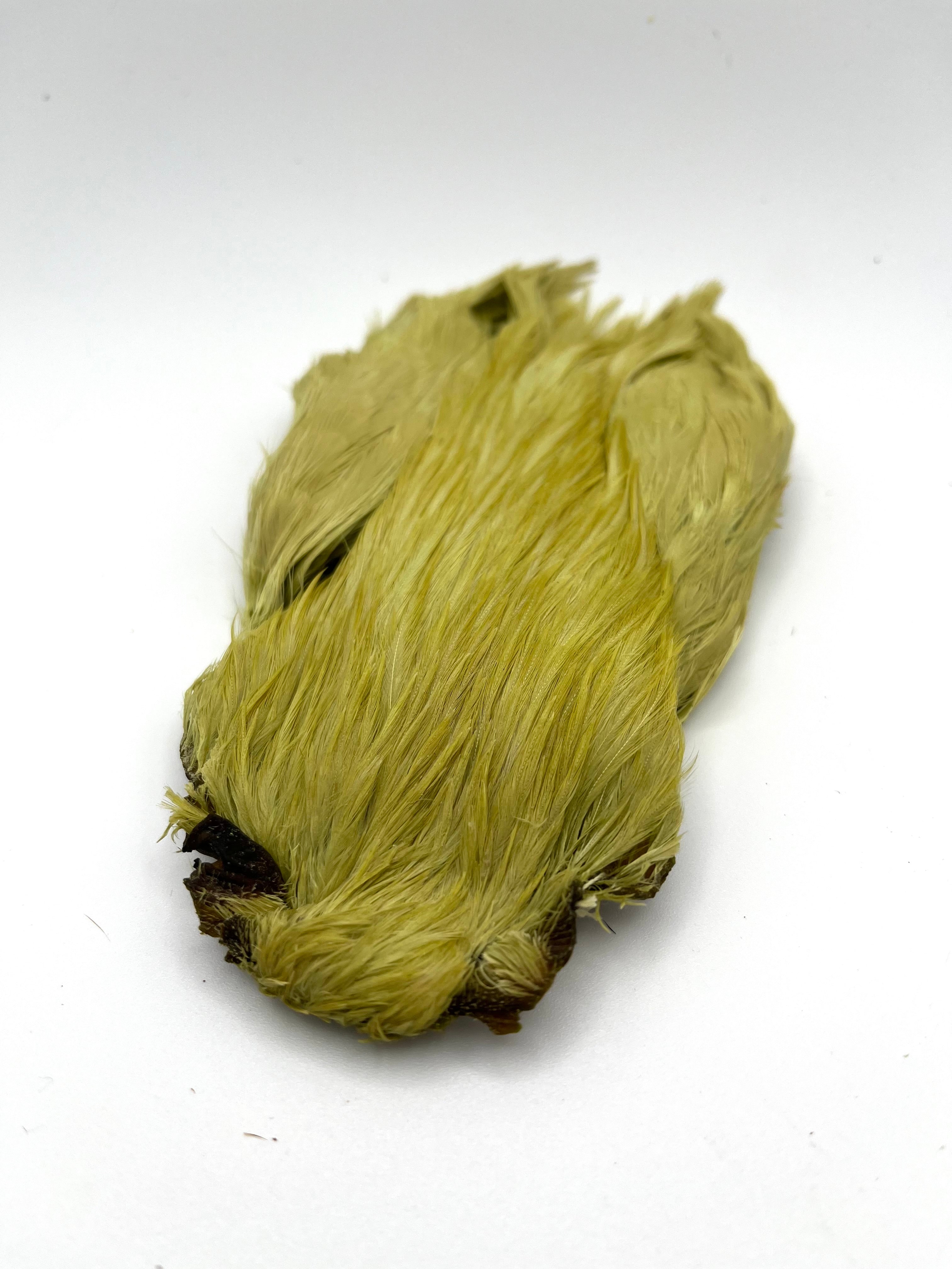 DOHIKU India Rooster Cape