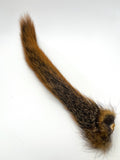 Squirrel Tail