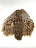 Hungarian Partridge Skin