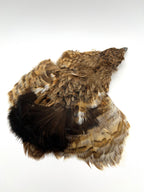 Ruffed Grouse Cape