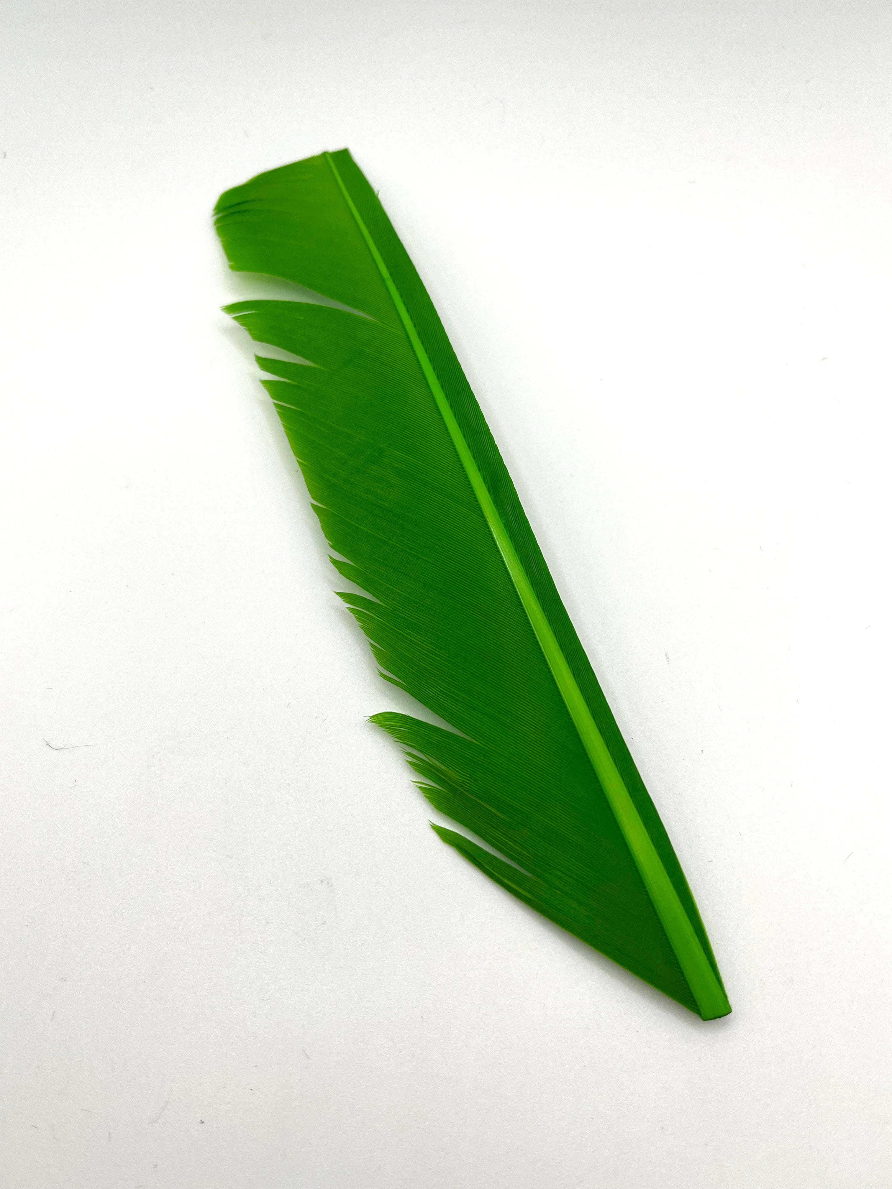 Nature's Spirit Turkey Biot Quills