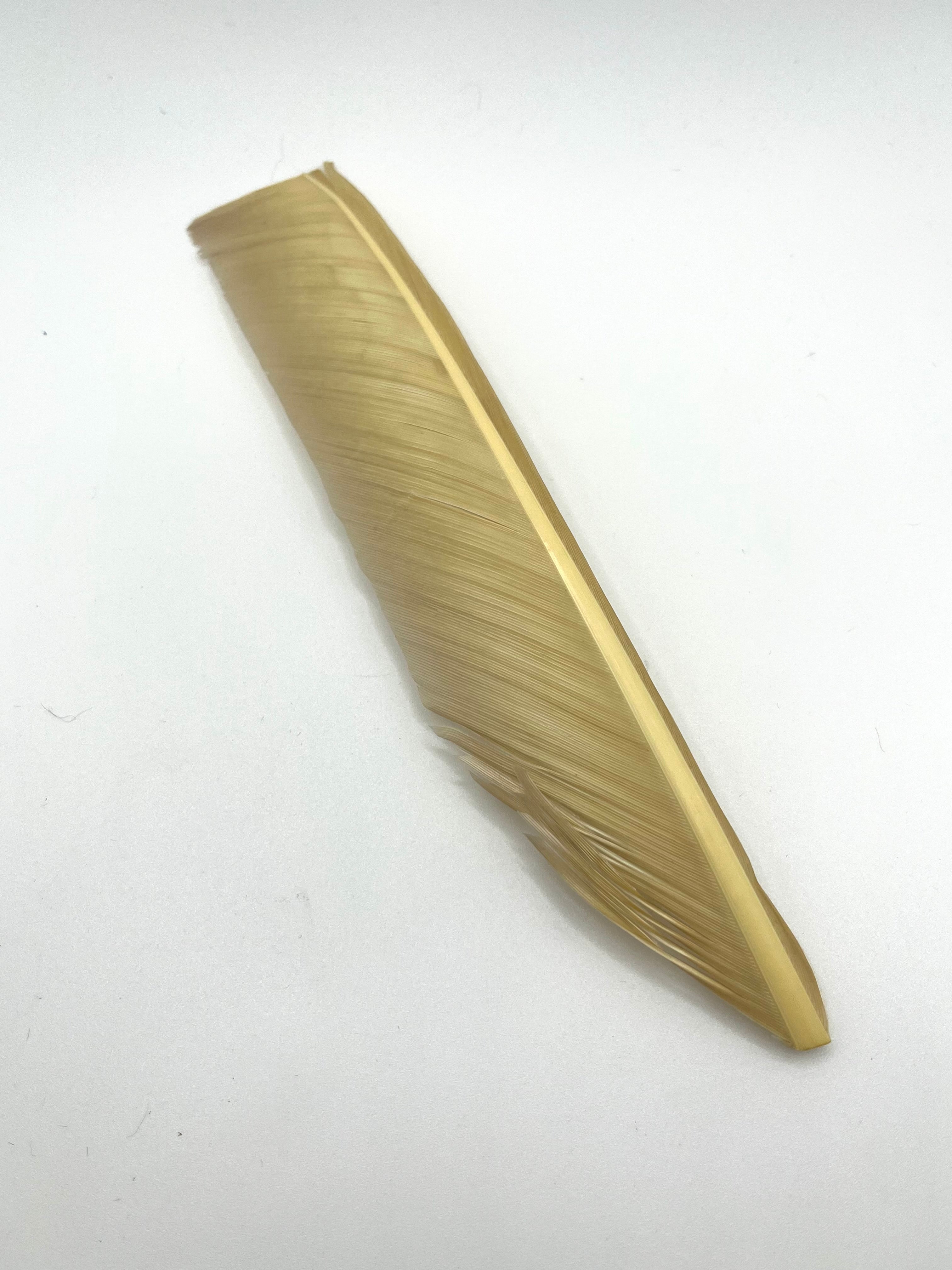 Nature's Spirit Turkey Biot Quills