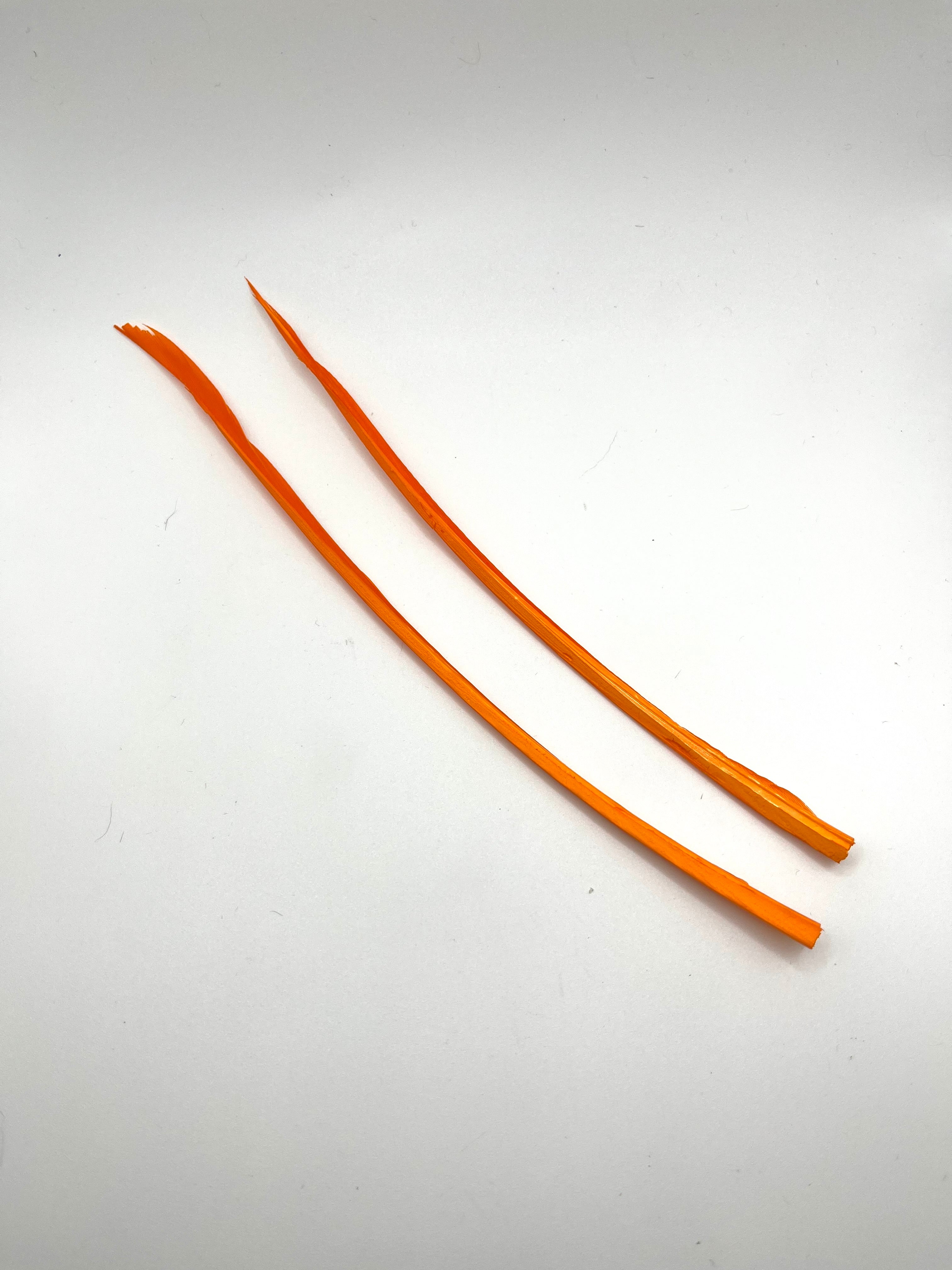 Nature's Spirit Turkey Biot Strips