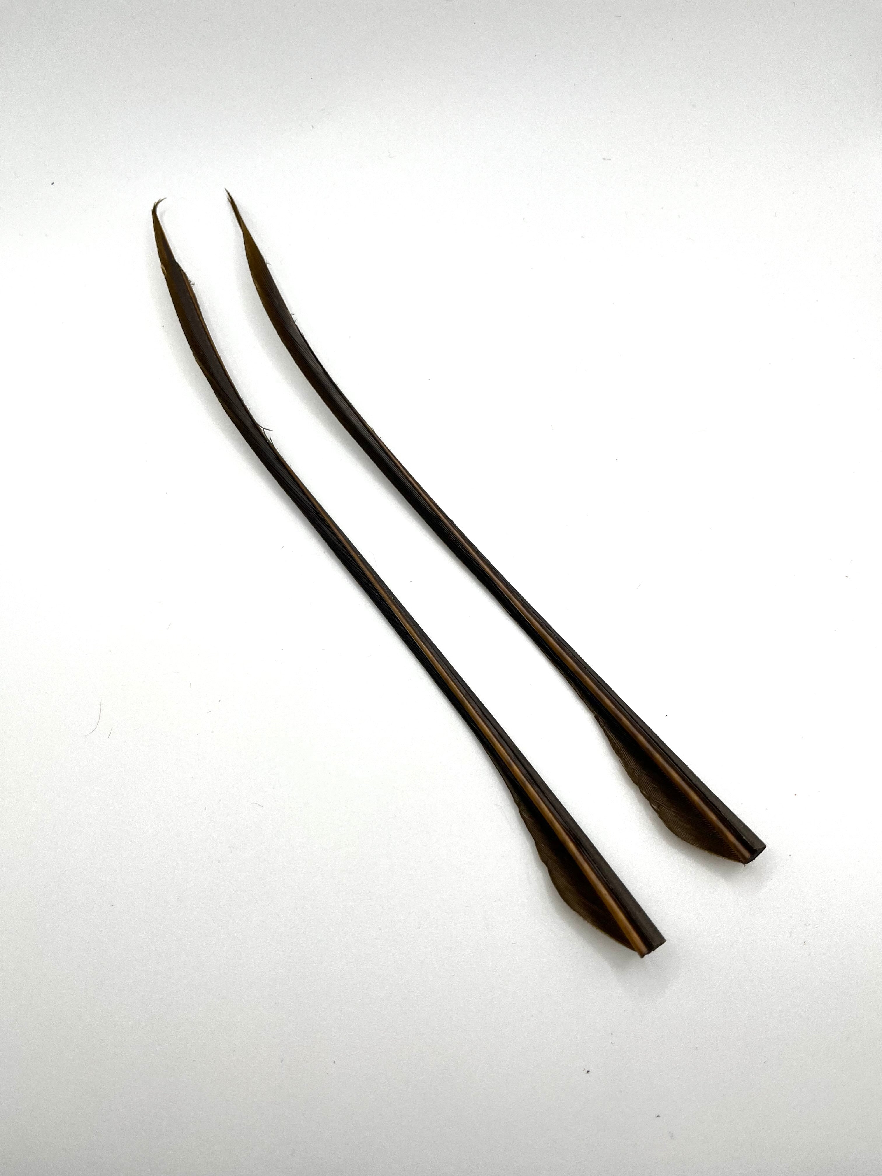 Nature's Spirit Turkey Biot Strips