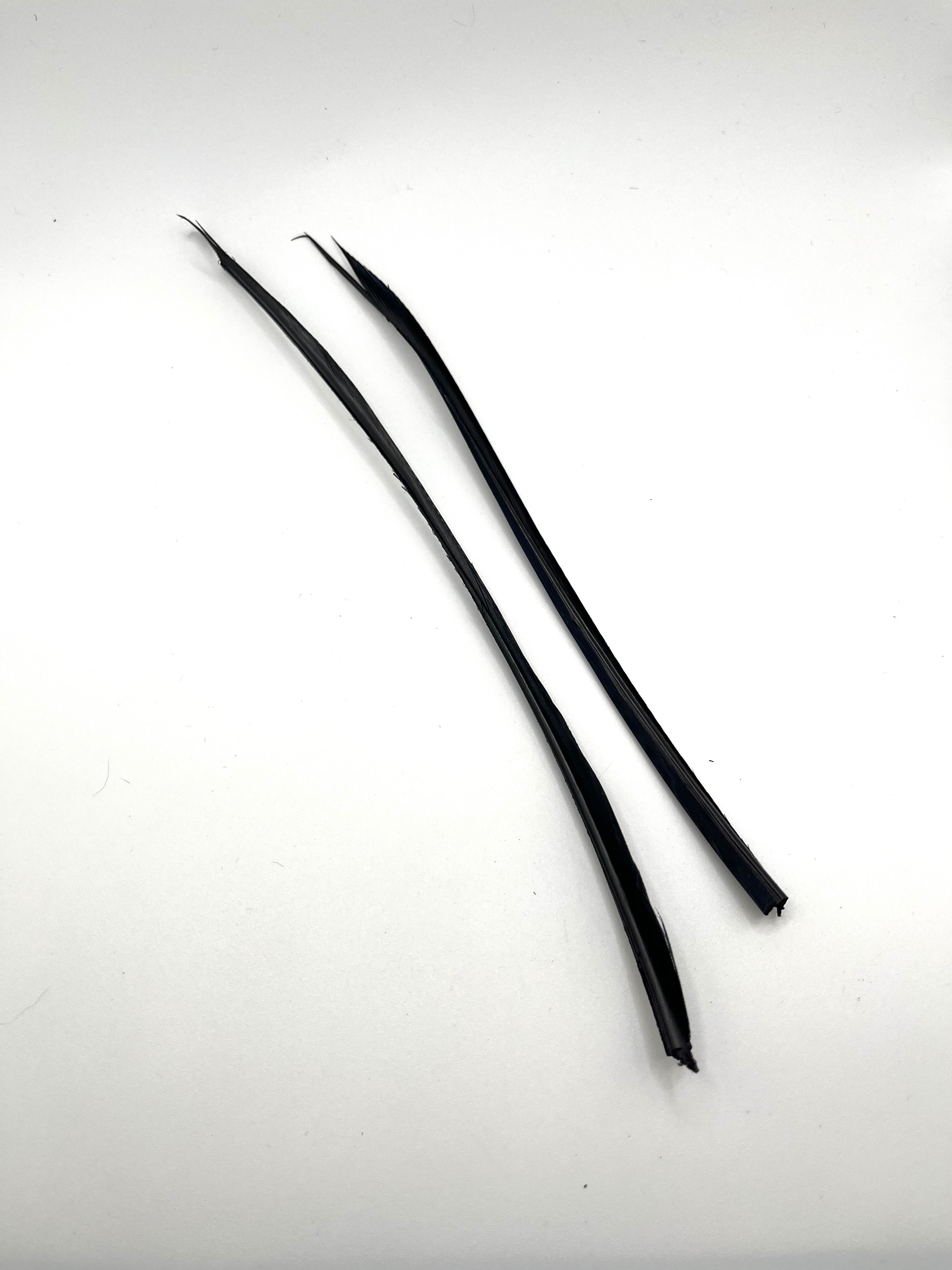 Nature's Spirit Turkey Biot Strips