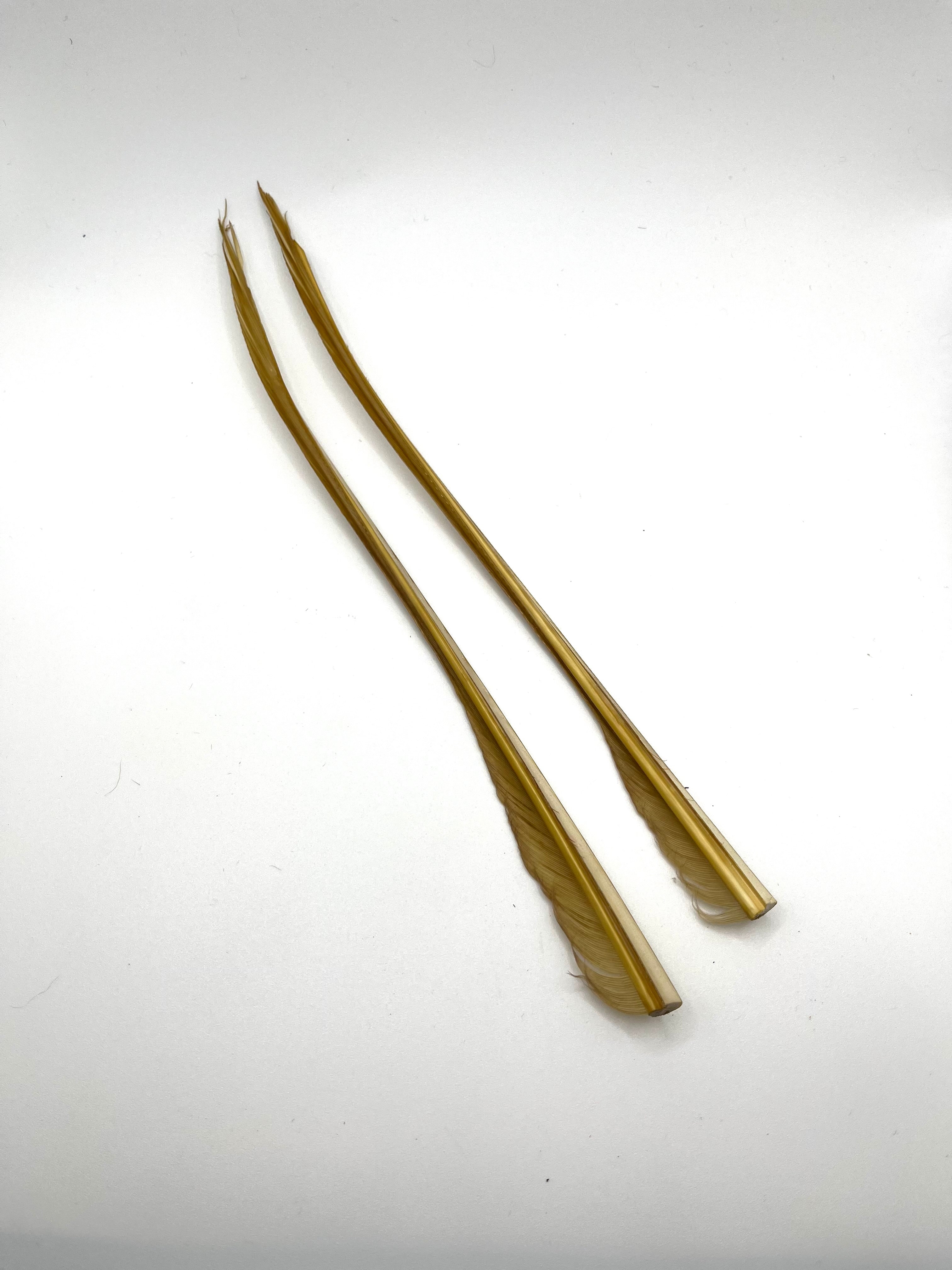 Nature's Spirit Turkey Biot Strips