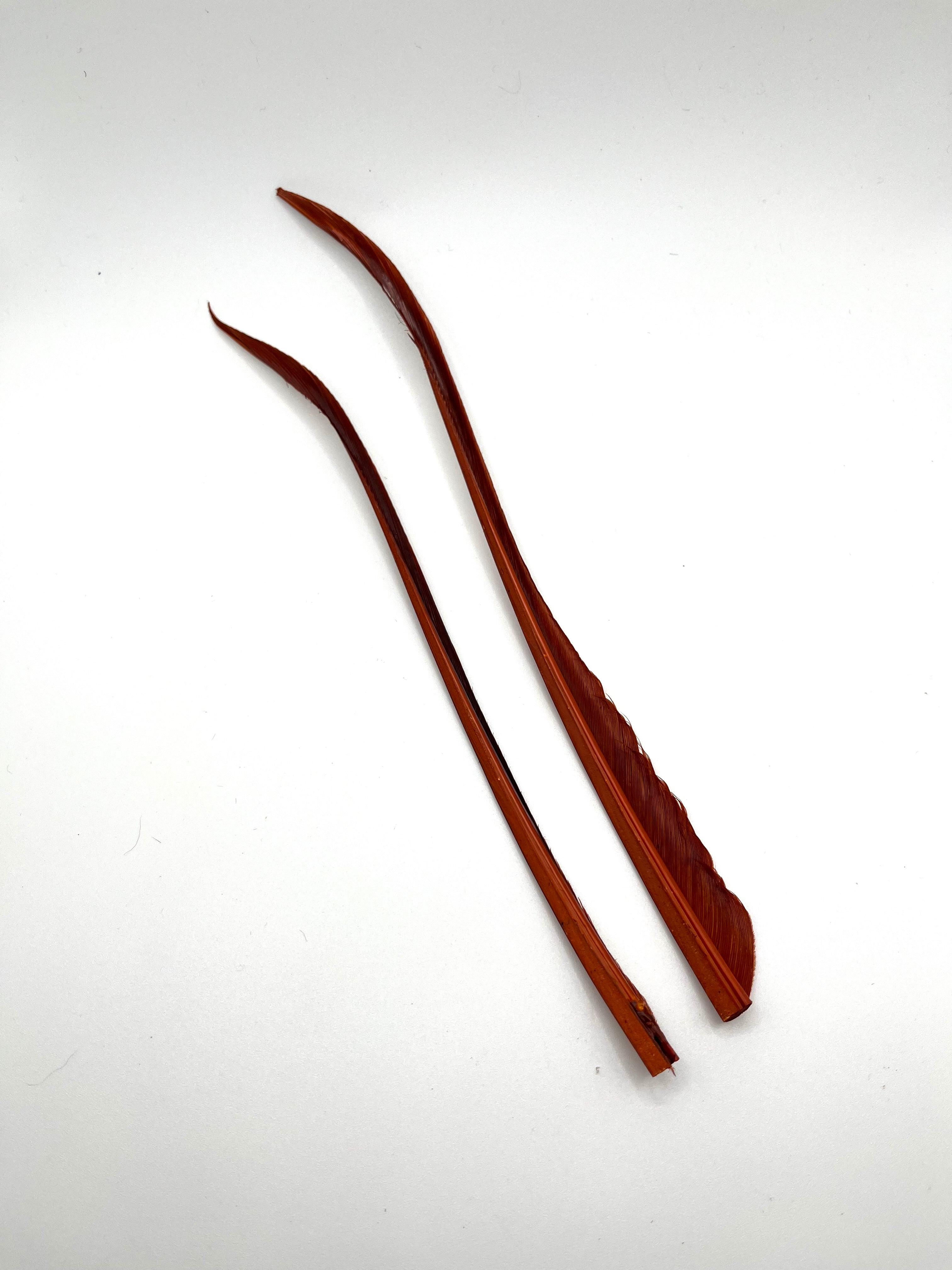 Nature's Spirit Turkey Biot Strips