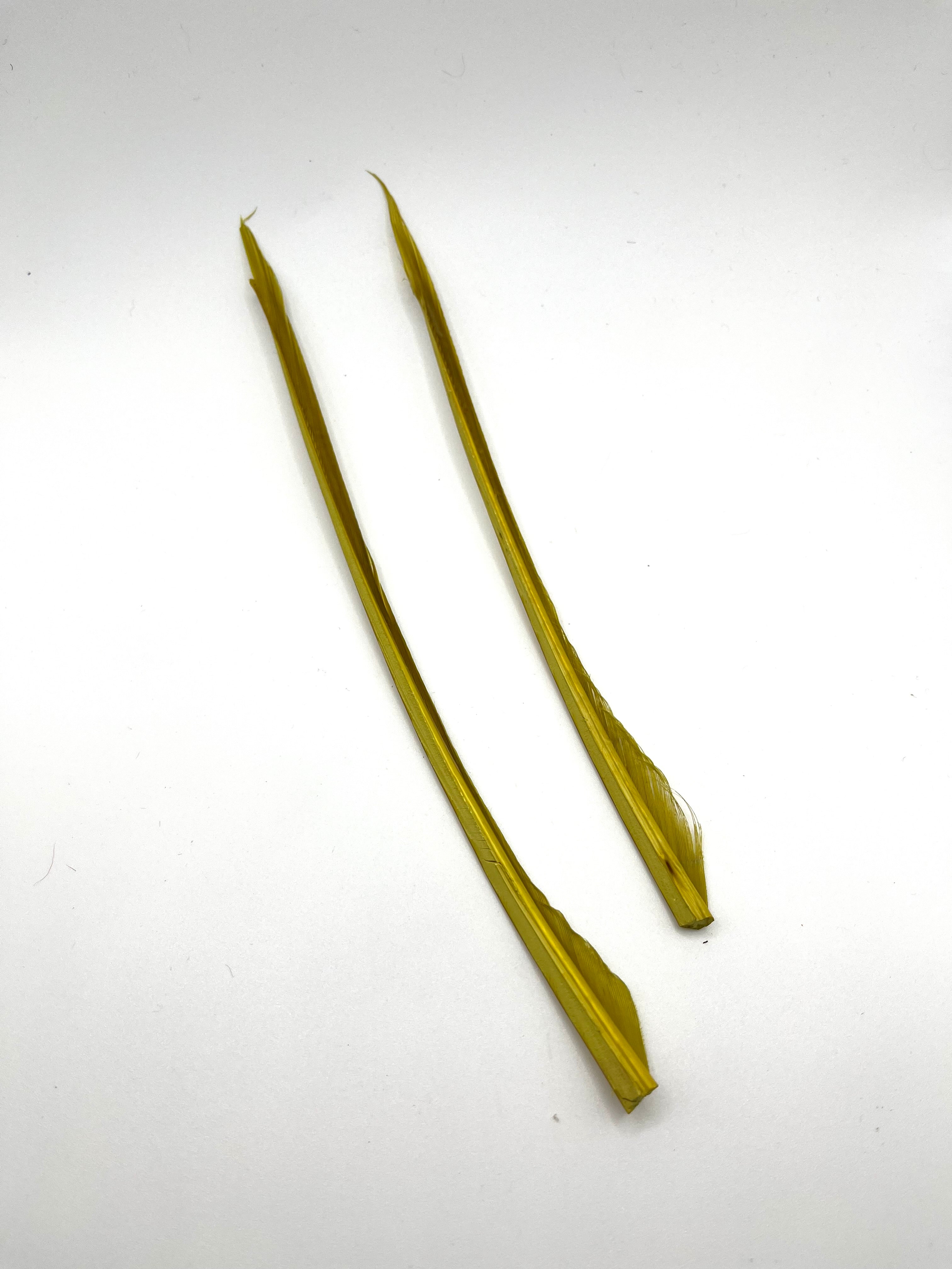 Nature's Spirit Turkey Biot Strips