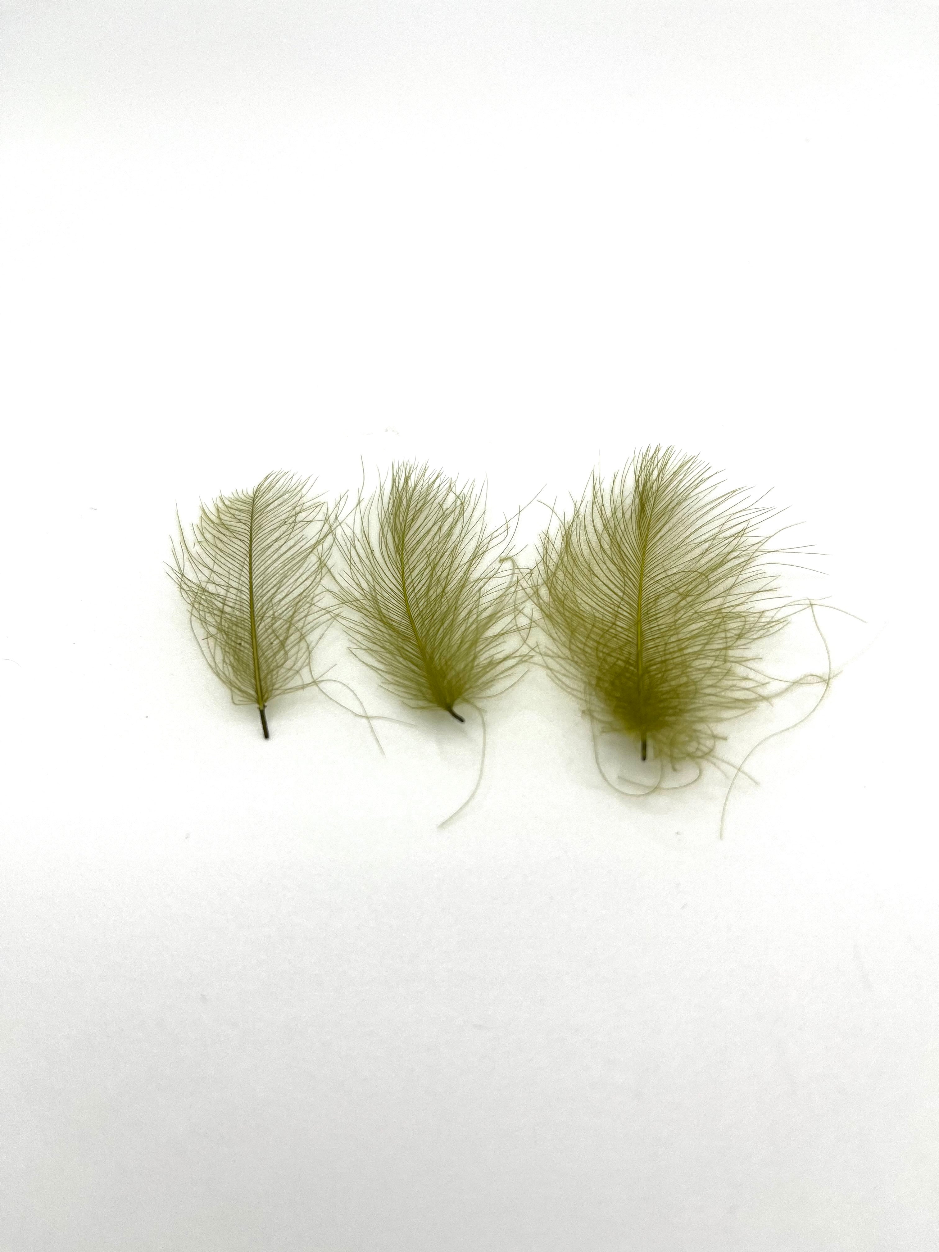 Troutline Premium CDC - 1 gram pack